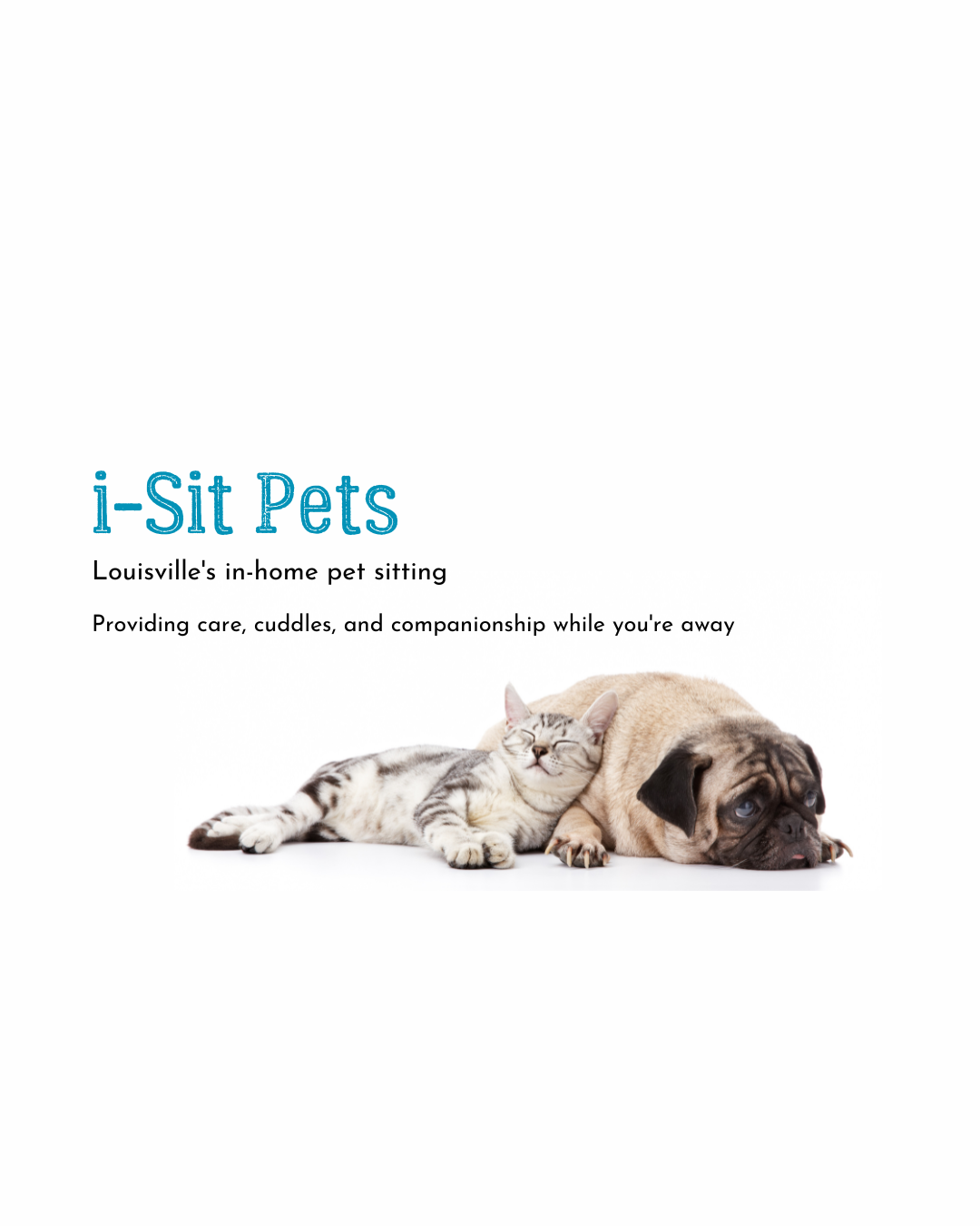 In home pet 2024 sitting